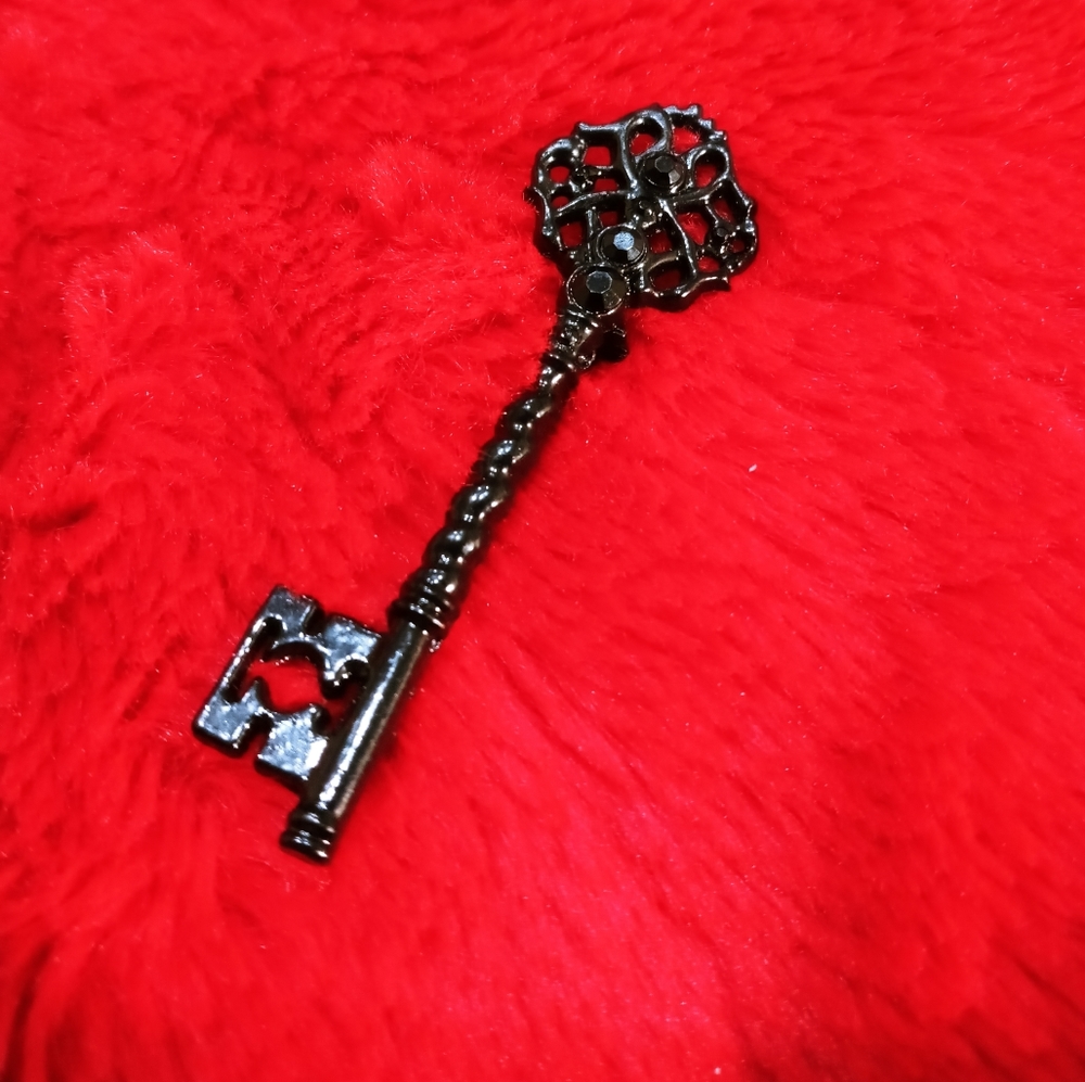 Skeleton Key 🗝️ Brooch